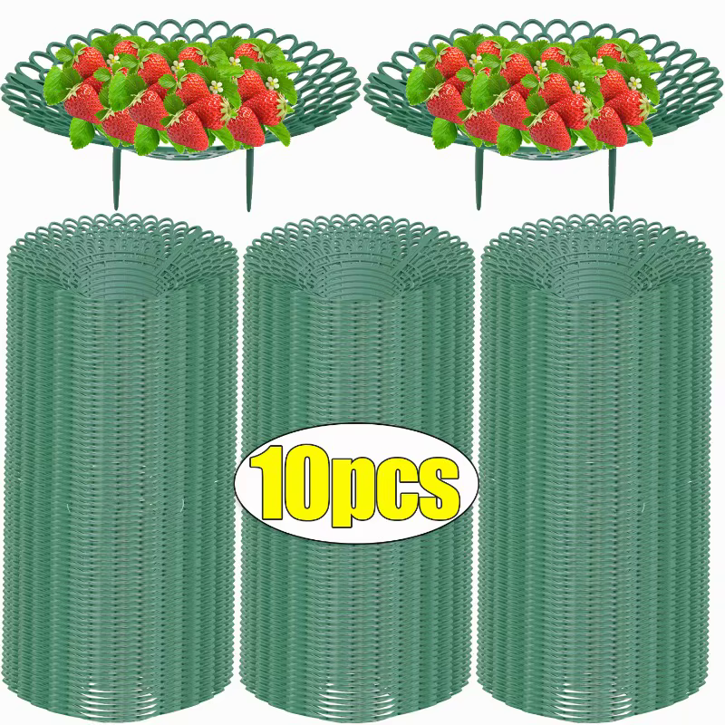 Support pour plantes à fraises