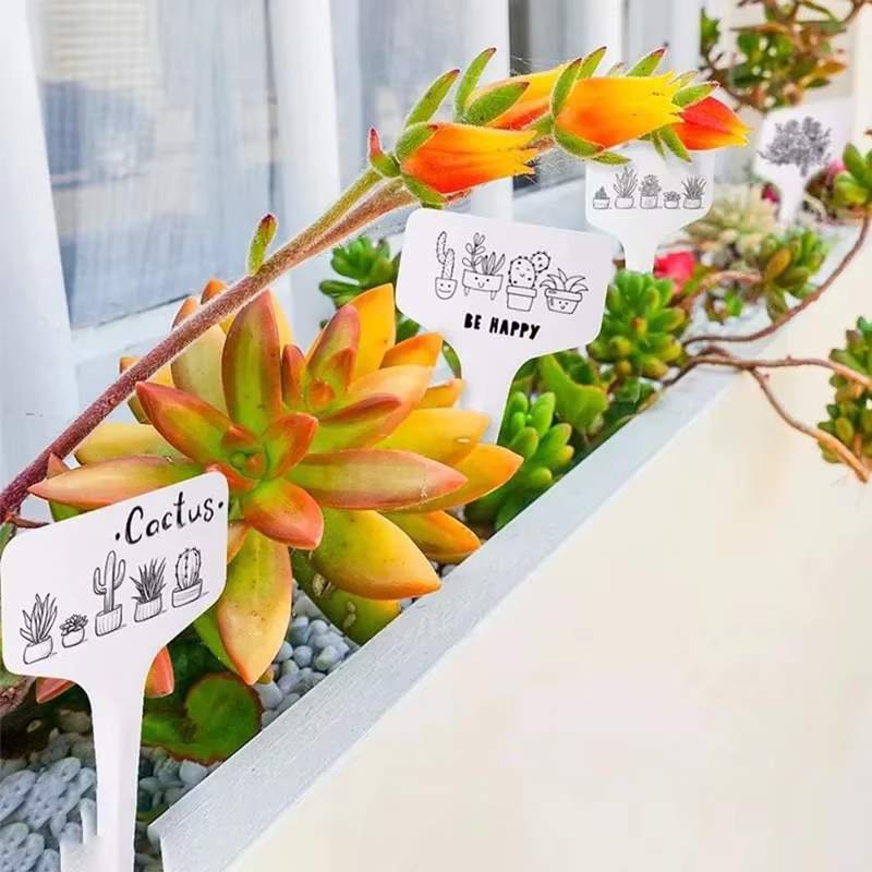 Étiquettes de jardin étanches pour plantes