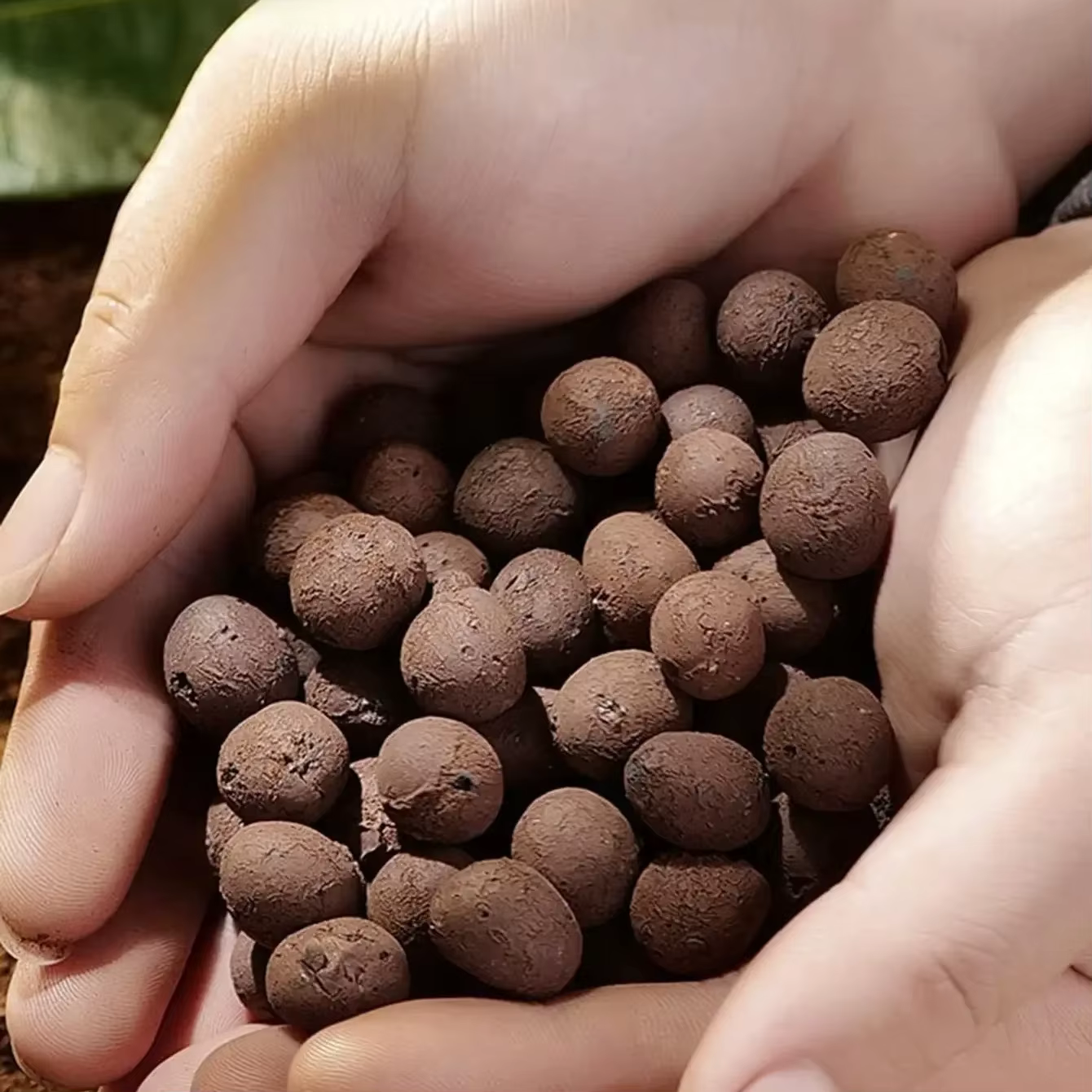 Leca IkClay Peays l pour plantes