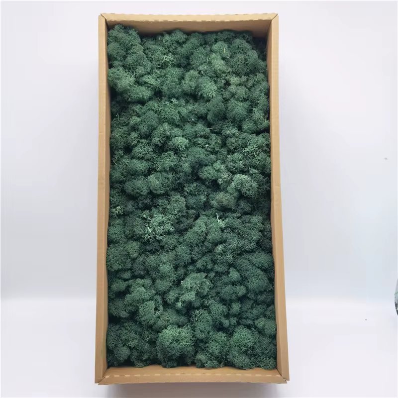 Plantes Artificielles de Simulation Naturelle Éternelle