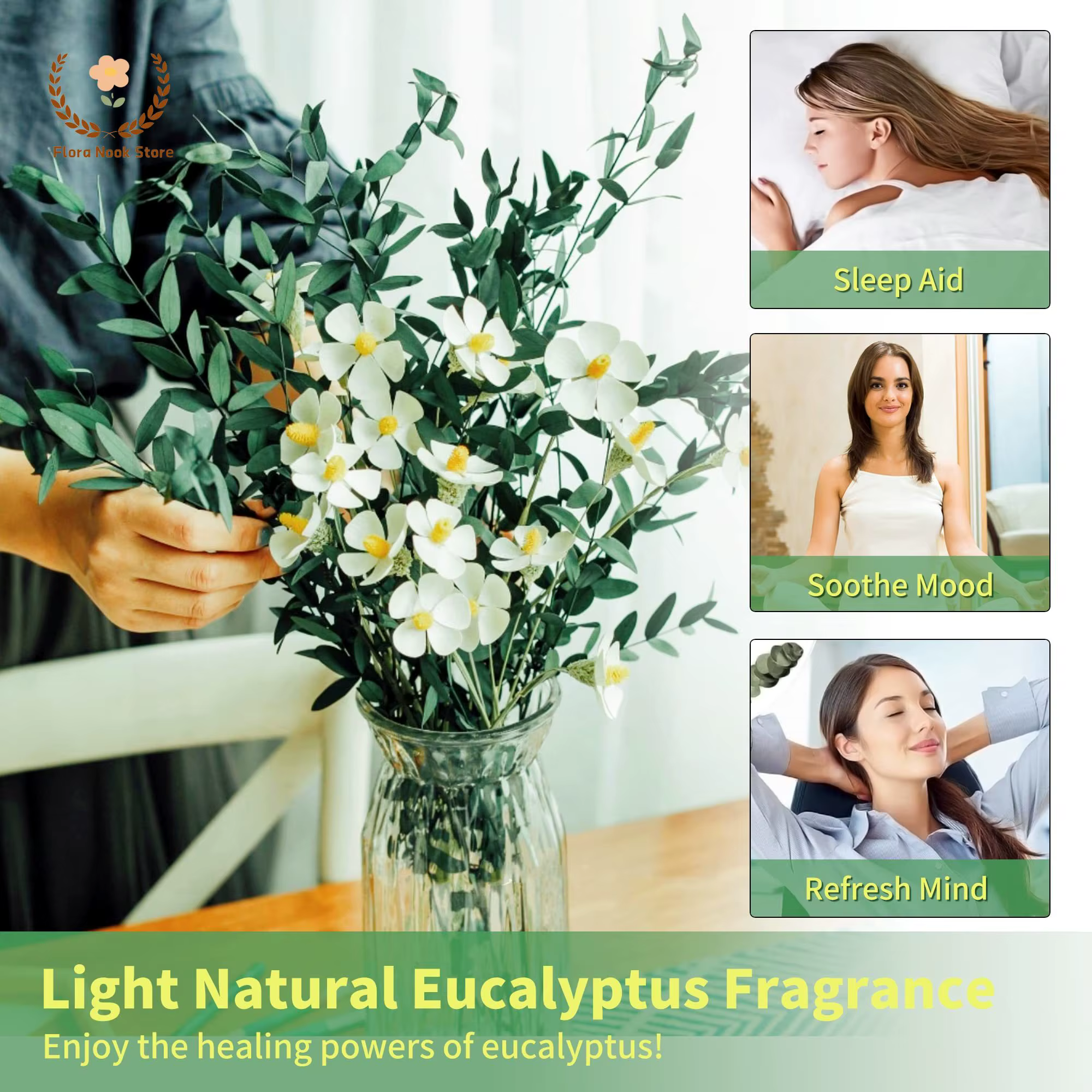 Bouquet de feuilles d'eucalyptus naturelles