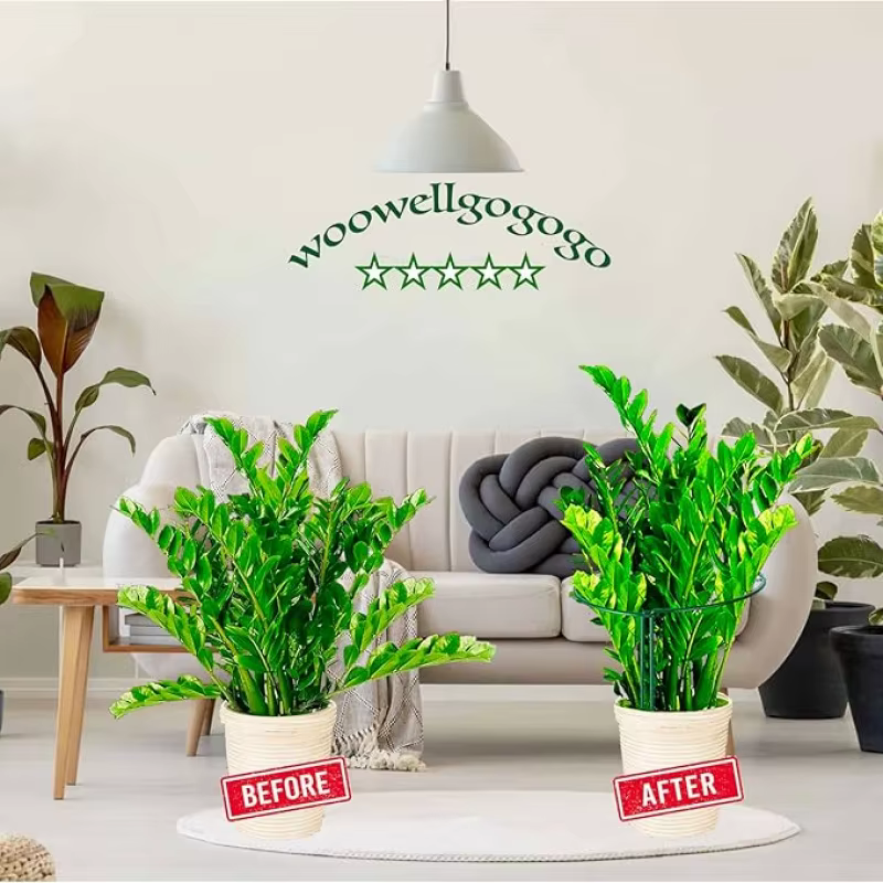 Support de treillis métallique semi-circulaire 35 cm (6-12 pièces) pour plantes d'intérieur
