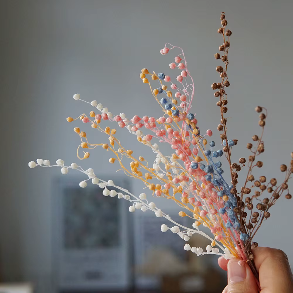 Fleurs séchées conservées