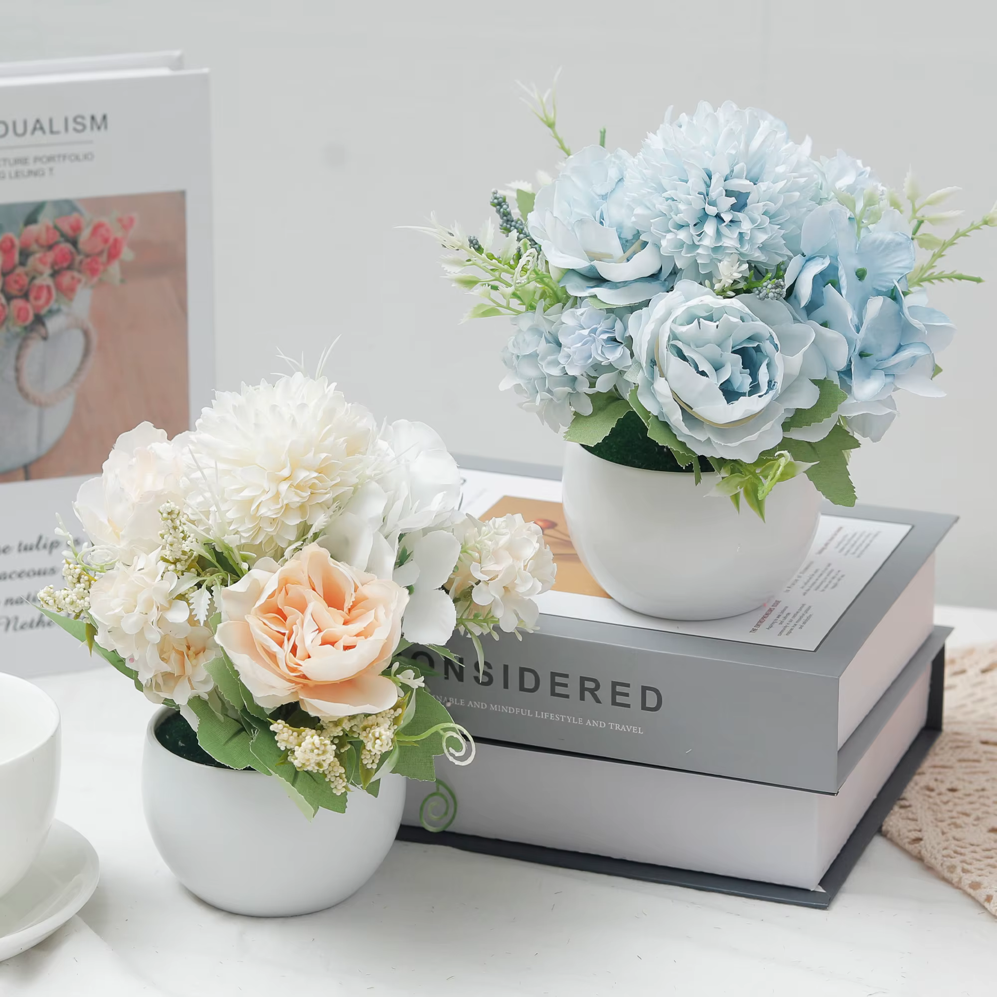 Plante d'hortensia en pot