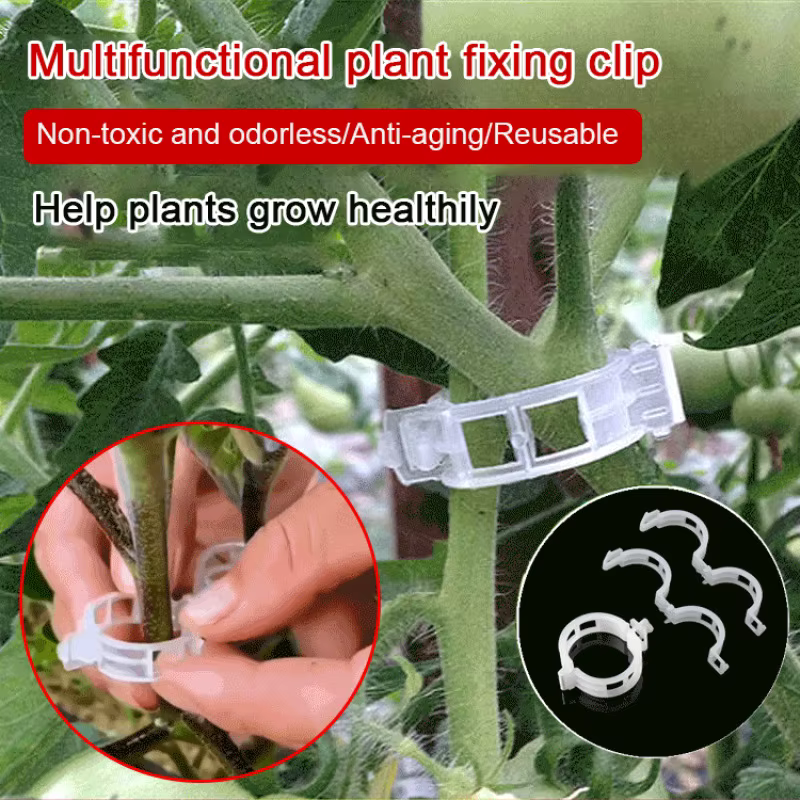 Attaches de fixation pour plantes suspendues