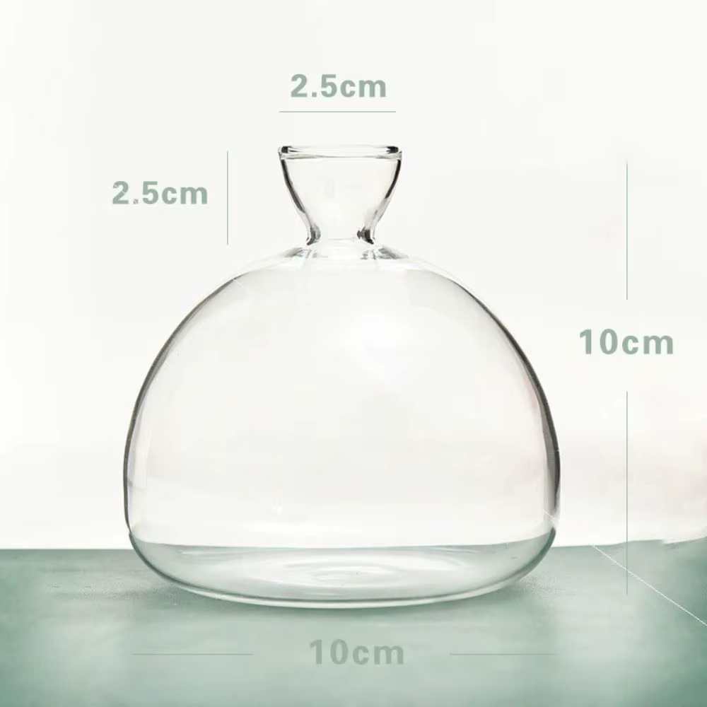 Kit de plantes en verre avec autocollants pour les amateurs de jardinage