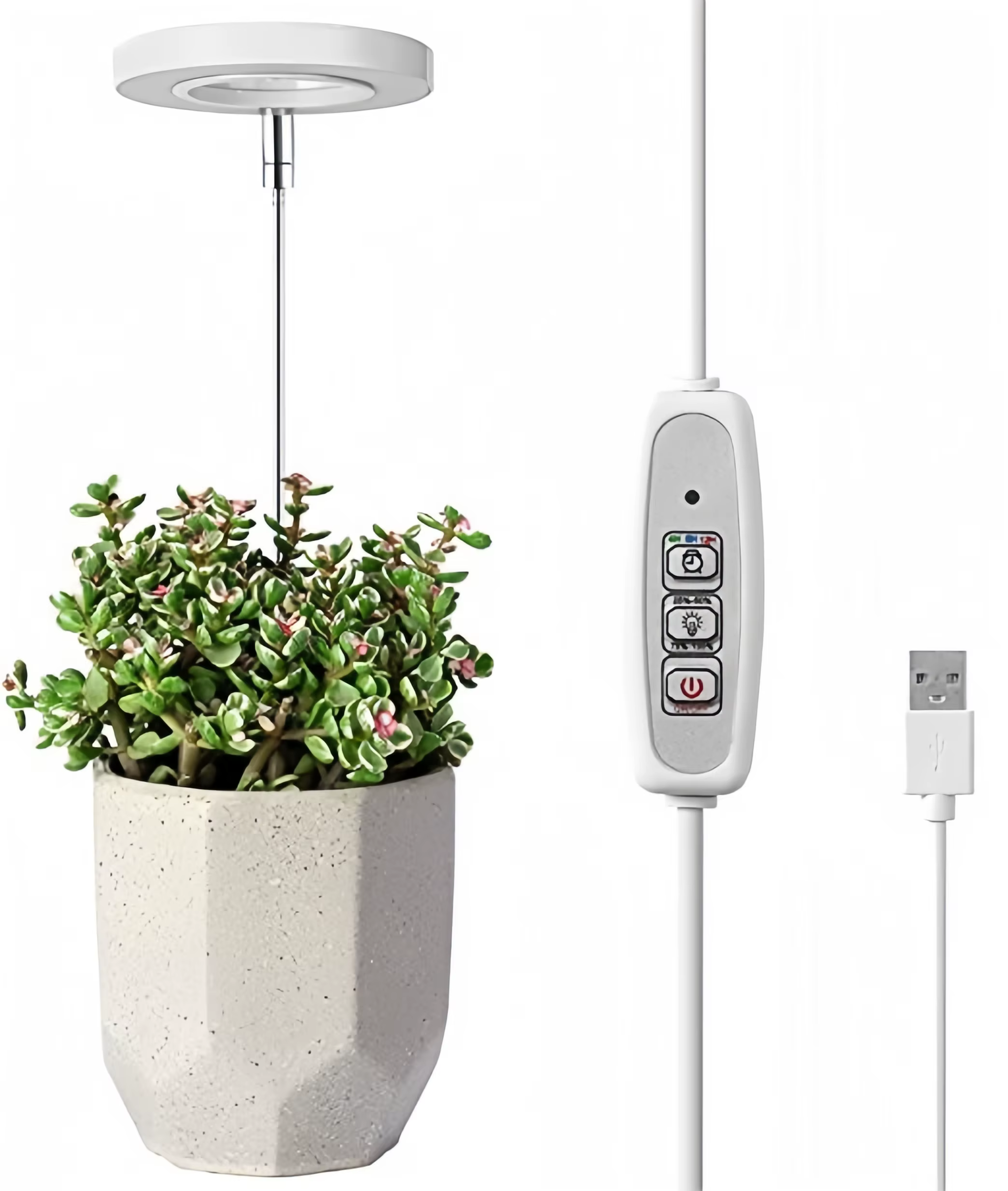 Lampe de culture pour plantes