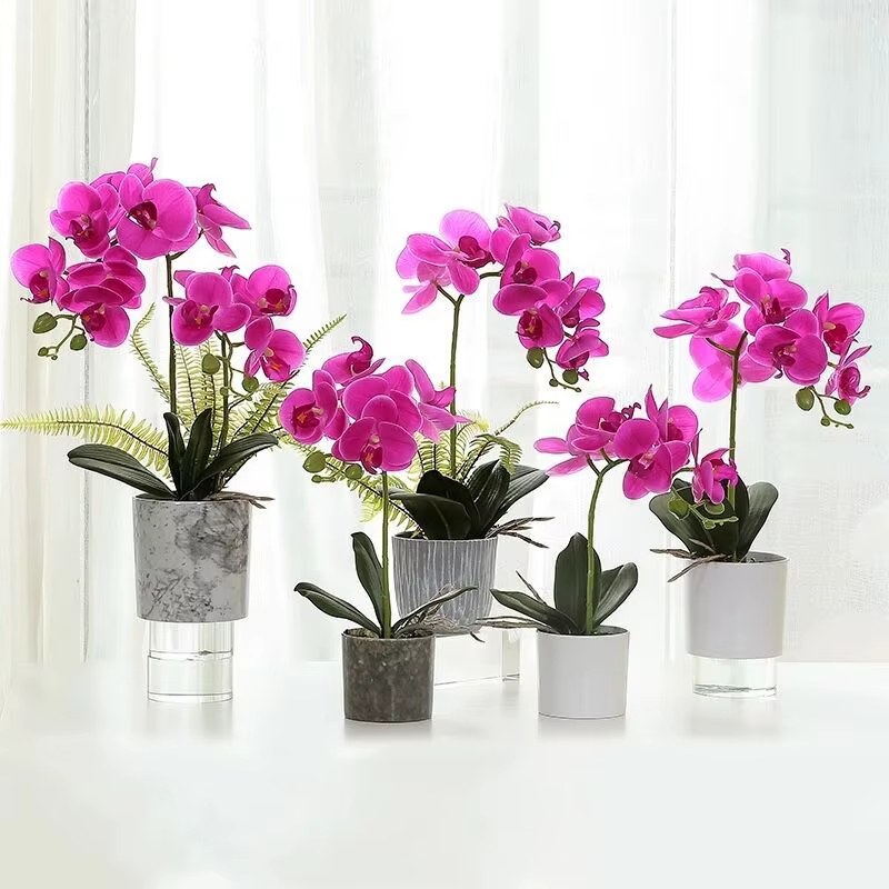Plantes artificielles, feuilles de Phalaenopsis