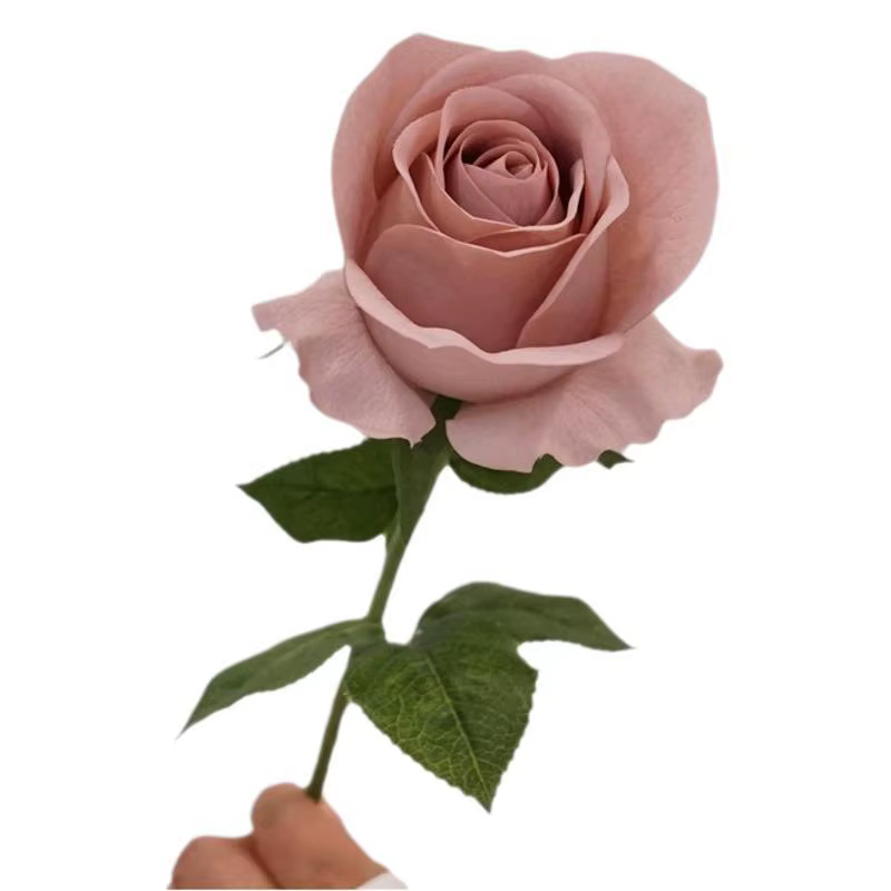 Rose Esha artificielle au toucher réel
