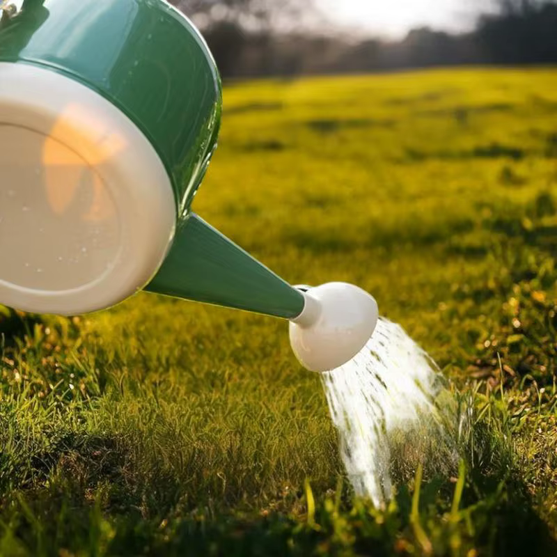 Arrosoir pour plantes d'intérieur 4L