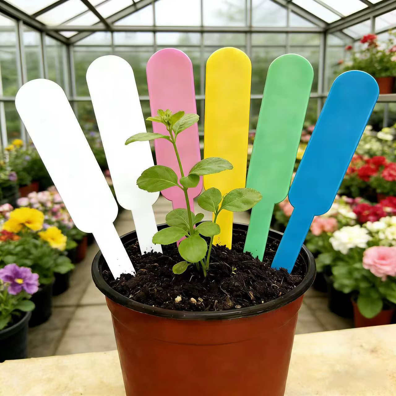 100 pièces/sac, marqueurs de plantes succulentes résistants aux UV