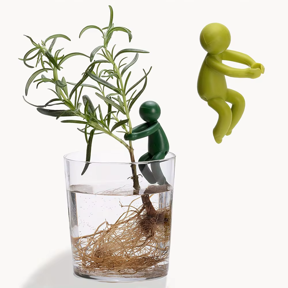 Ornement de compagnie pour la croissance des plantes hydroponiques
