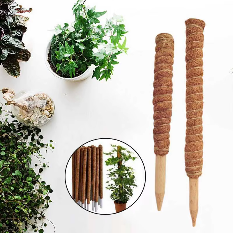 Poteau de soutien en fibre de coco pour plantes grimpantes