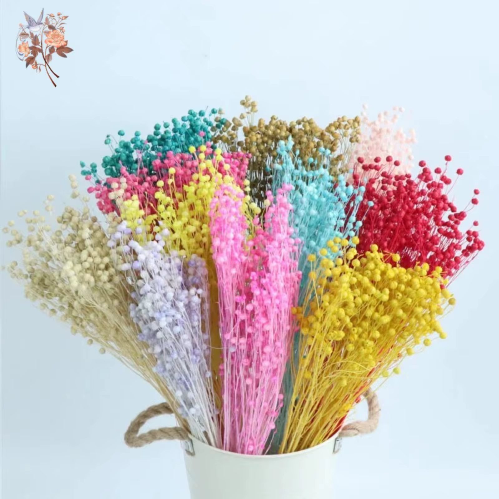 Fleurs séchées naturelles