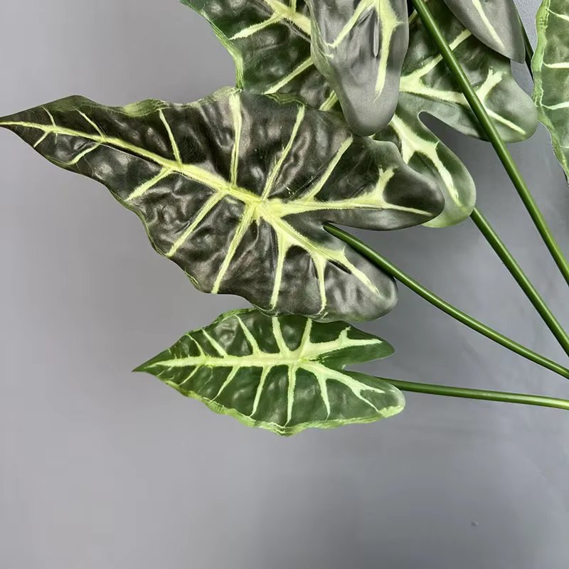 Simulation de plantes vertes Taro Levesf