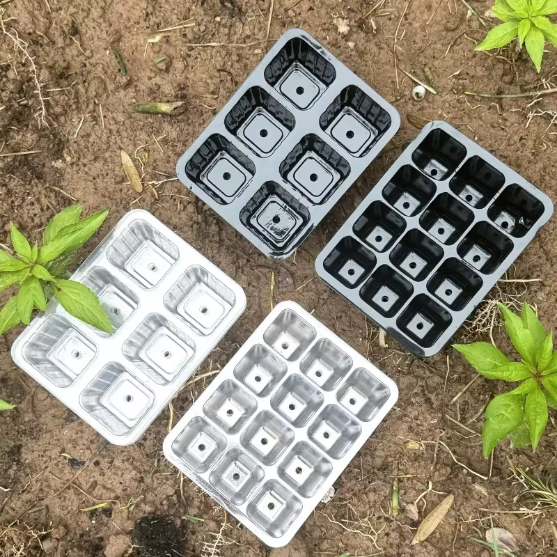 Plateau de culture de plantes