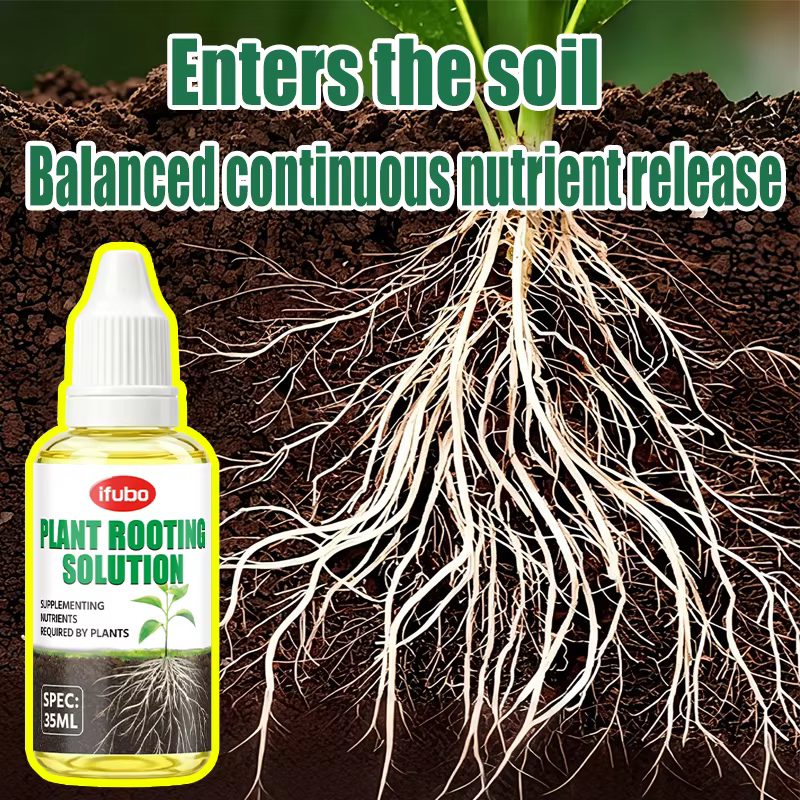 Solution nutritive pour l'enracinement des plantes
