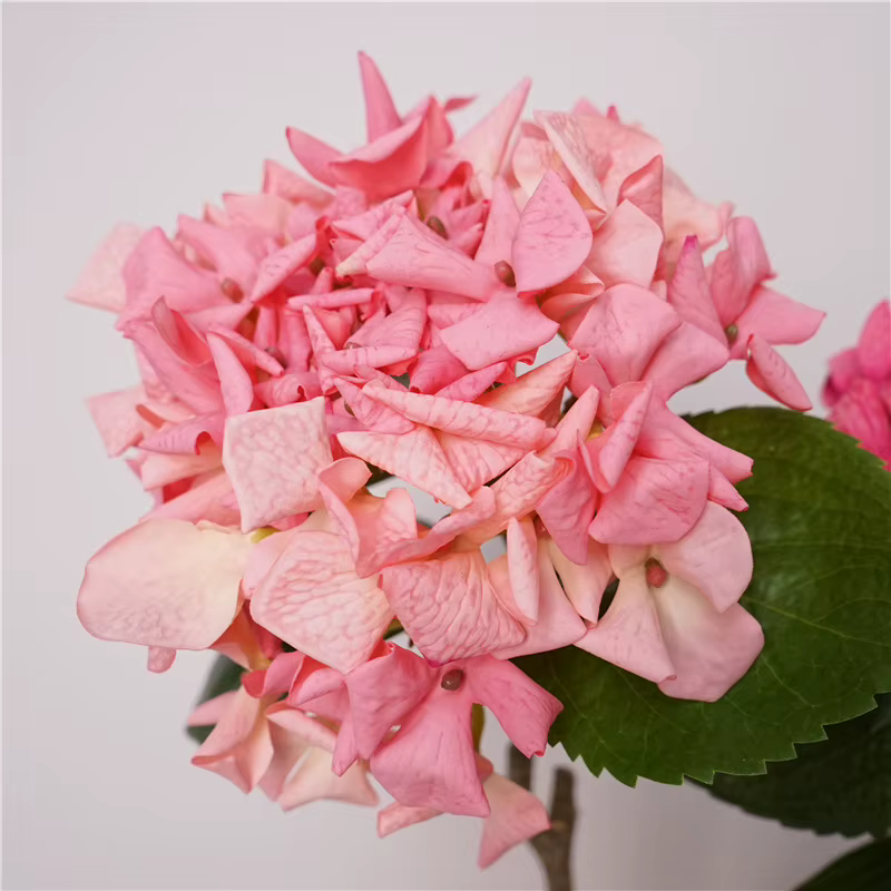 Touchez les fausses fleurs d'hortensia hydratantes
