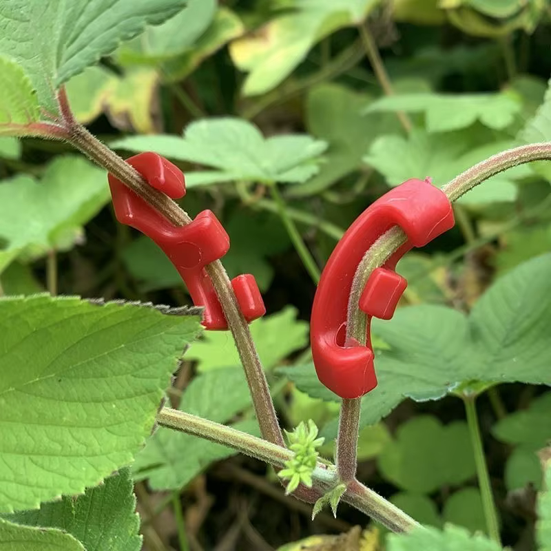 Cintreuse de plantes à 90 degrés