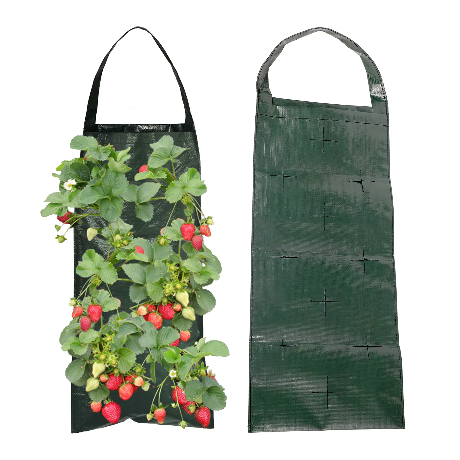 Sac de plantation de fraises suspendu à 6/8/10 trous