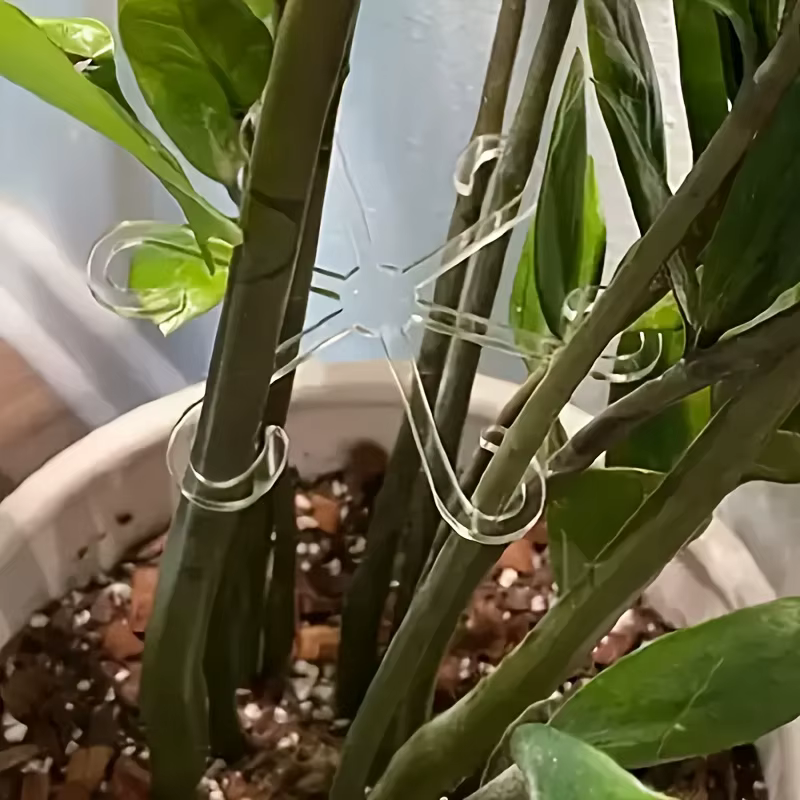 Ensemble de 4 piquets de soutien pour plantes
