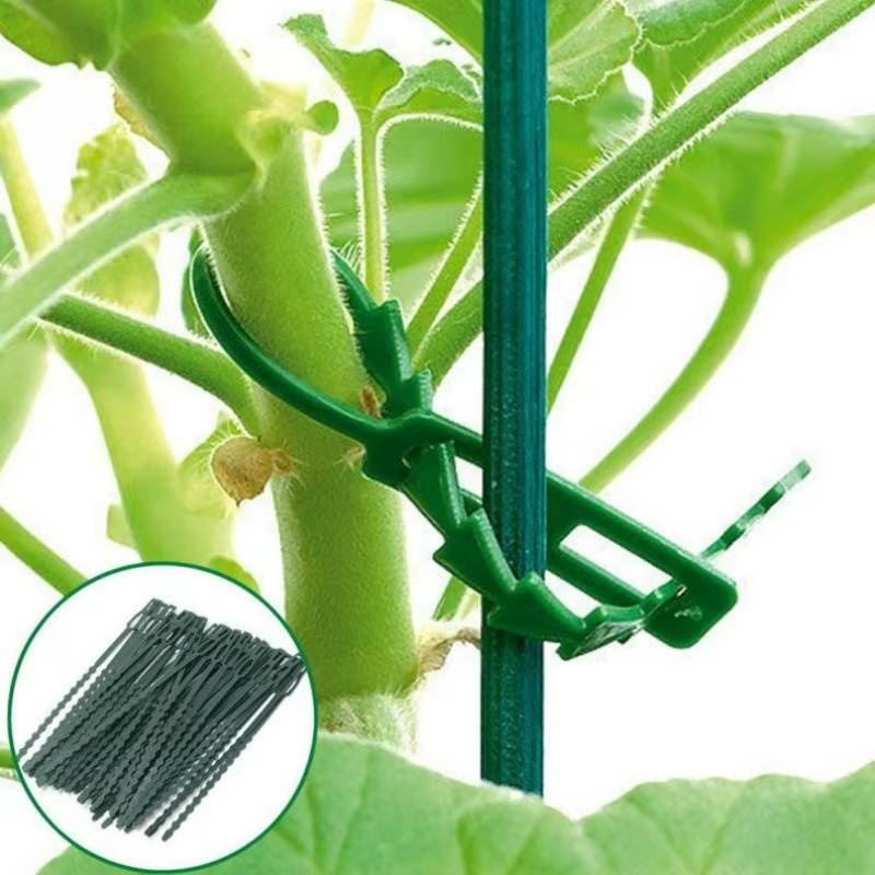50 attaches de fixation réglables en plastique réutilisables pour plantes