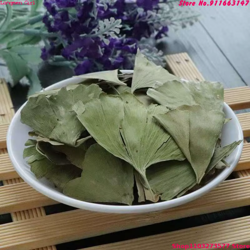 Feuilles de Ginkgo Biloba séchées de qualité supérieure pour la beauté