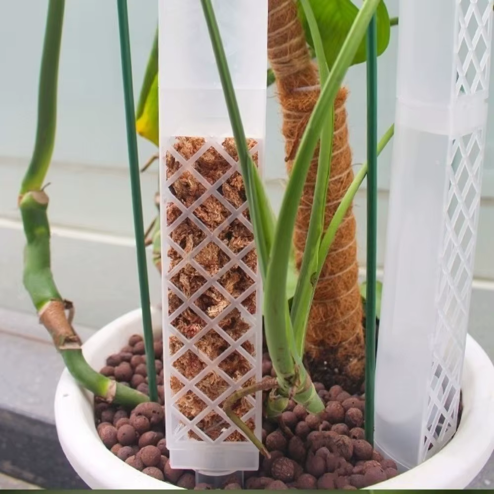 Support de croissance pour plantes grimpantes en plastique en forme