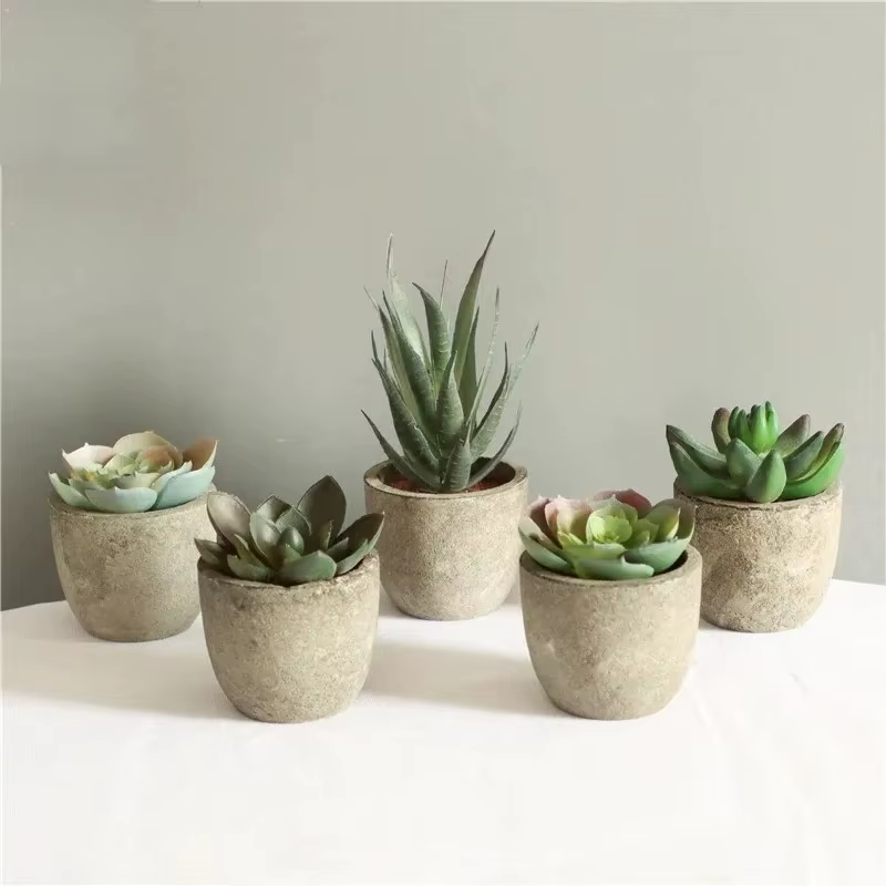 Mini plantes artificielles à l'aloe vera