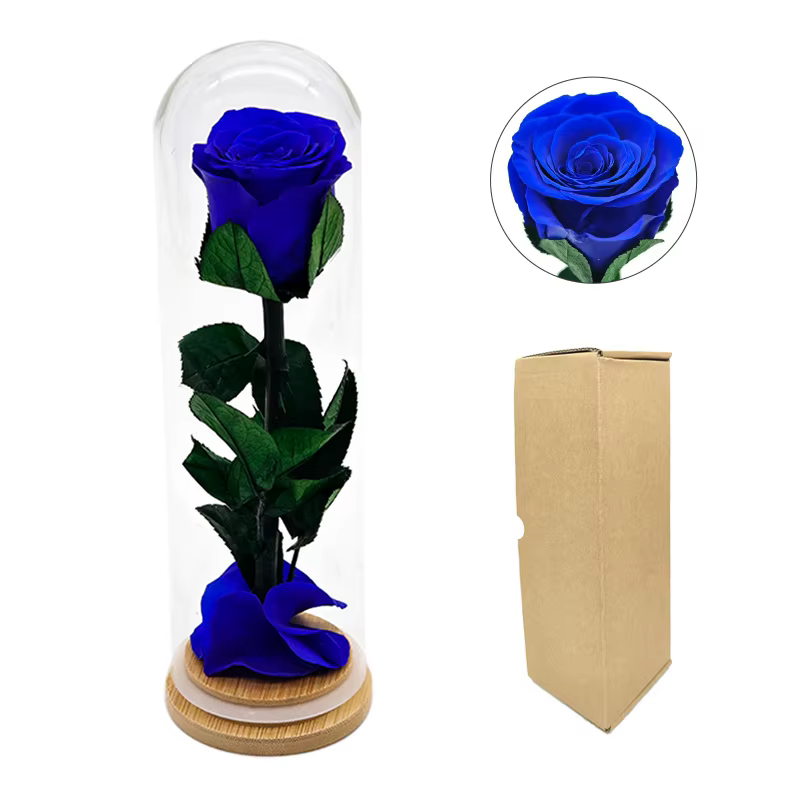 Forever Rose têtes couvercle en verre fini fleurs conservées fête des mères saint valentin anniversaire cadeaux créatifs pour copines