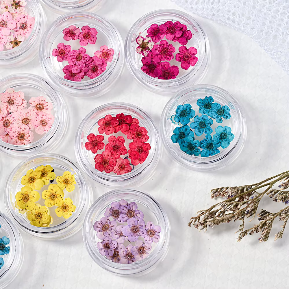 Petites fleurs séchées narciques