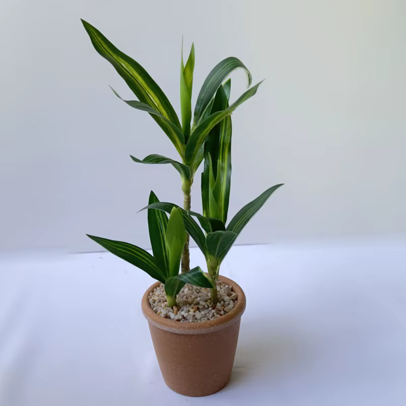 Plante artificielle en bambou porte-bonheur