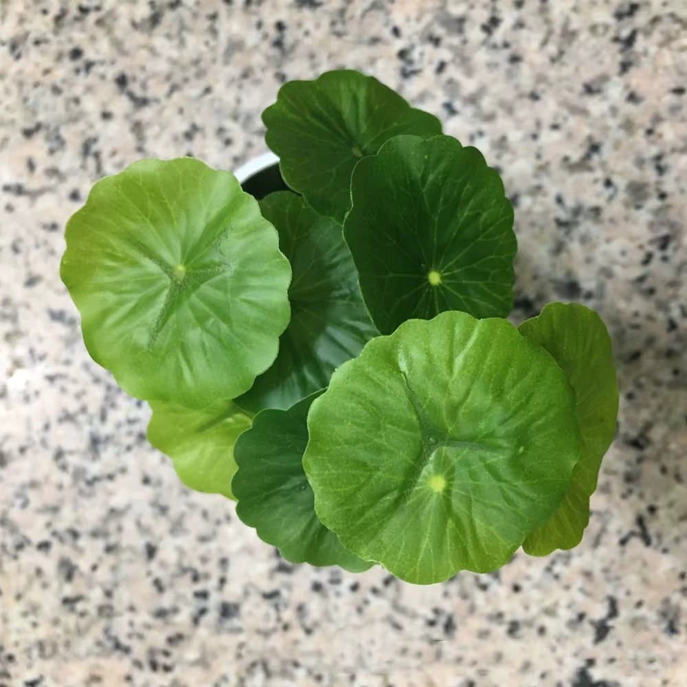 Plante verte 9 têtes Feuille de lotus artificielle Petite