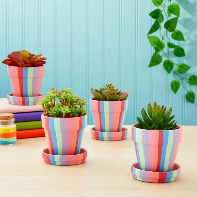 Pot en argile avec mini jardinières succulentes
