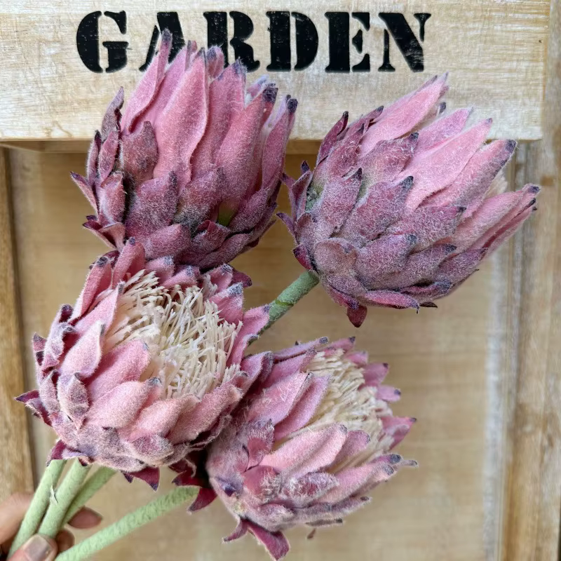 Fleurs artificielles King Protea réalistes