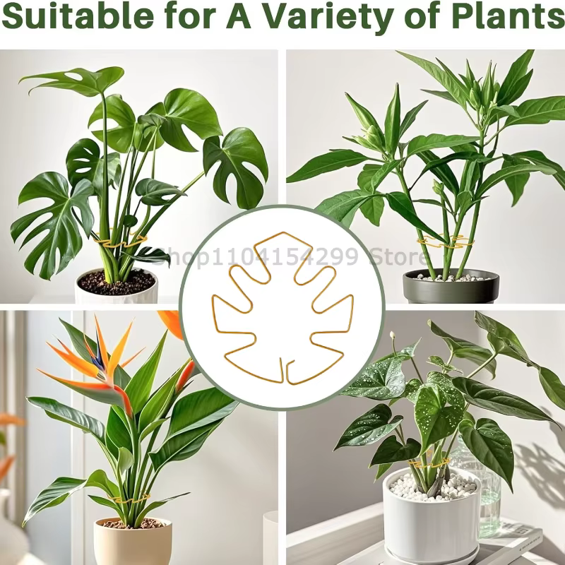 Support pour plantes hautes