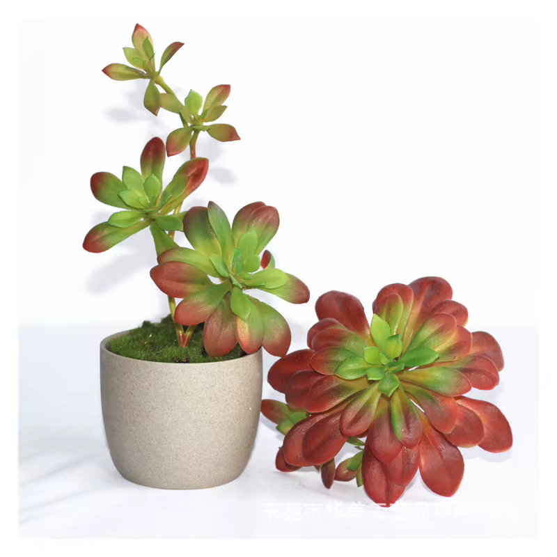 Plantes succulentes artificielles vertes et rouges