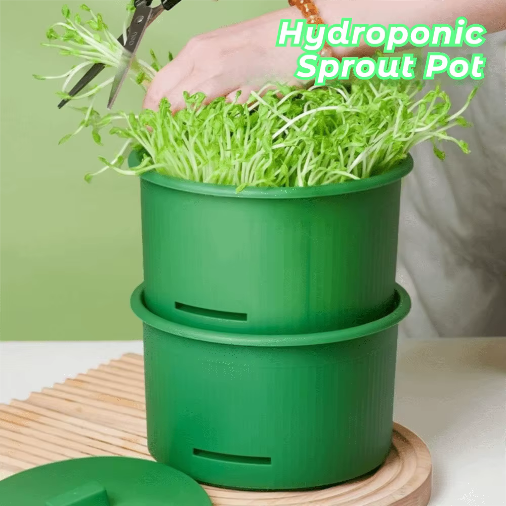Pots de pépinière en plastique pour germes de haricots