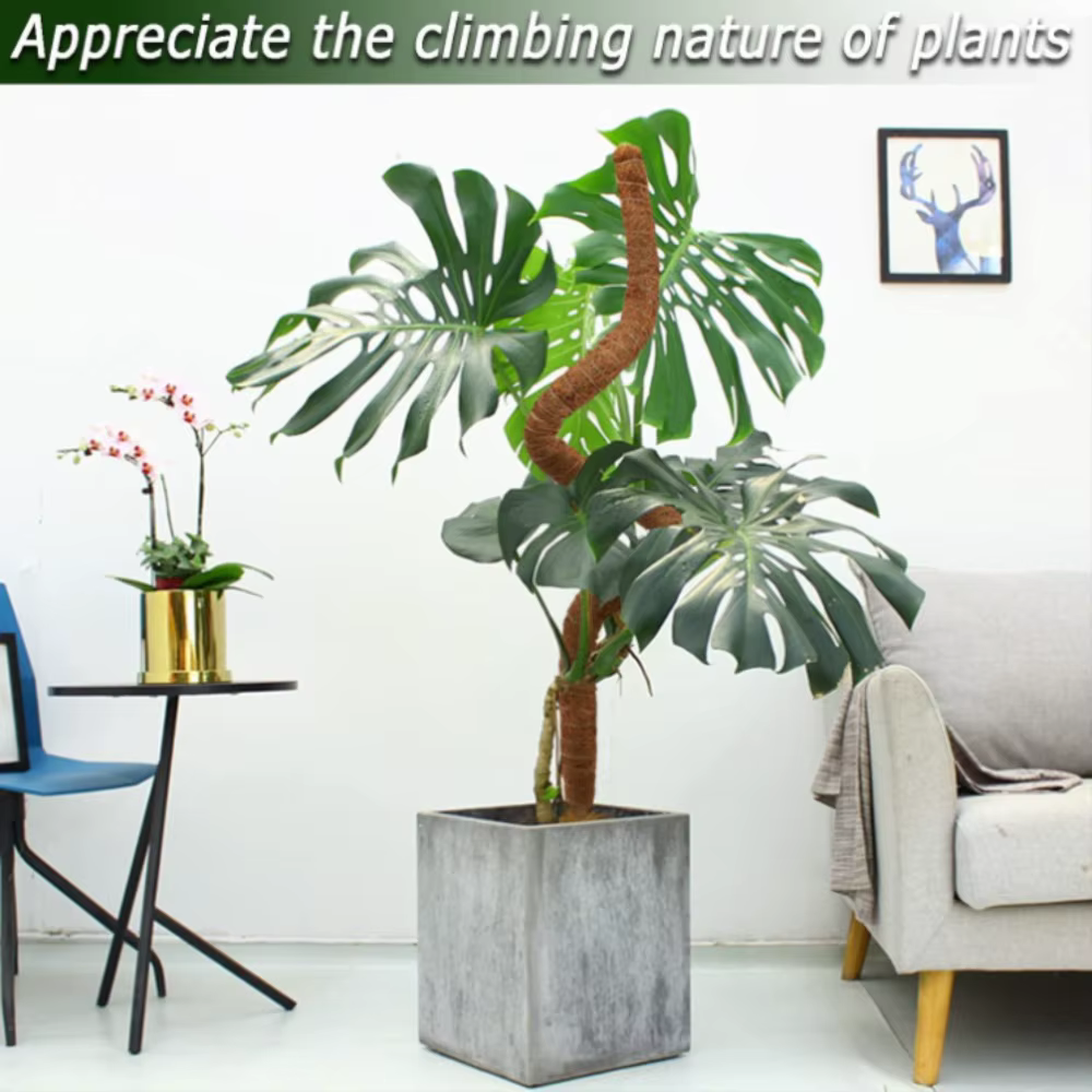 Support de plante Monstera pliable en mousse