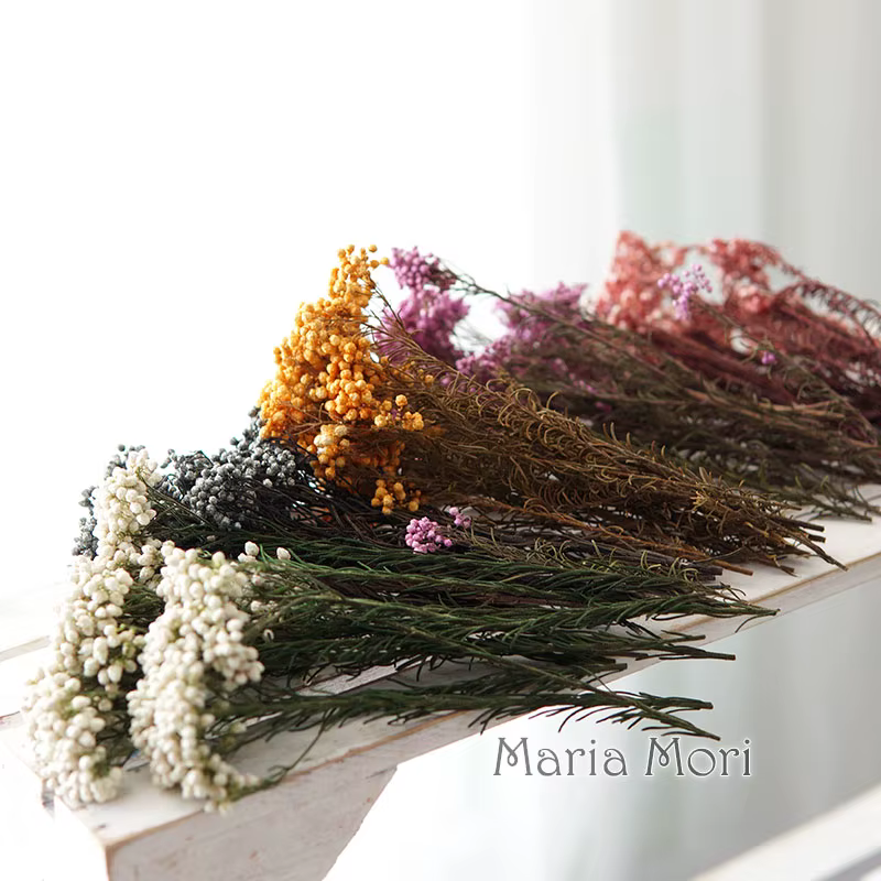Fleur de Millet de riz