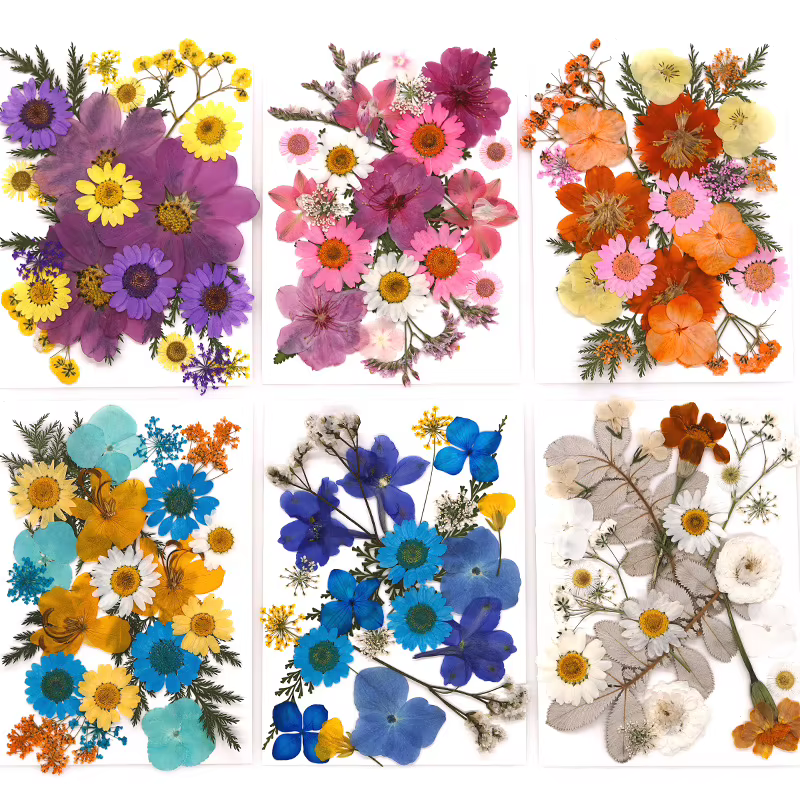 Fleur séchée pour bricolage
