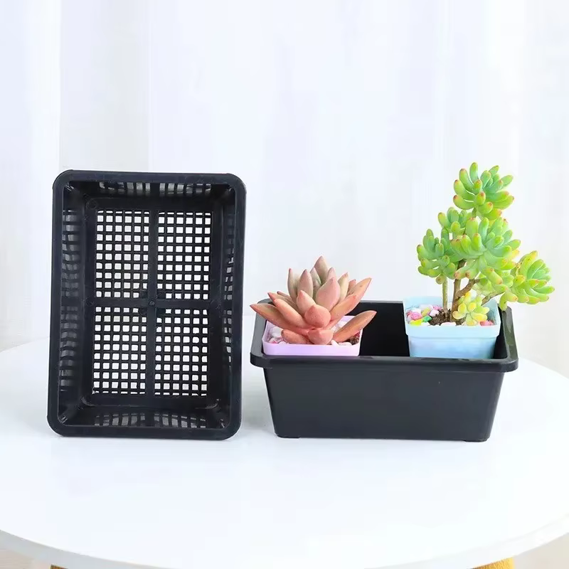Plateau de semis réutilisable pour plantes succulentes