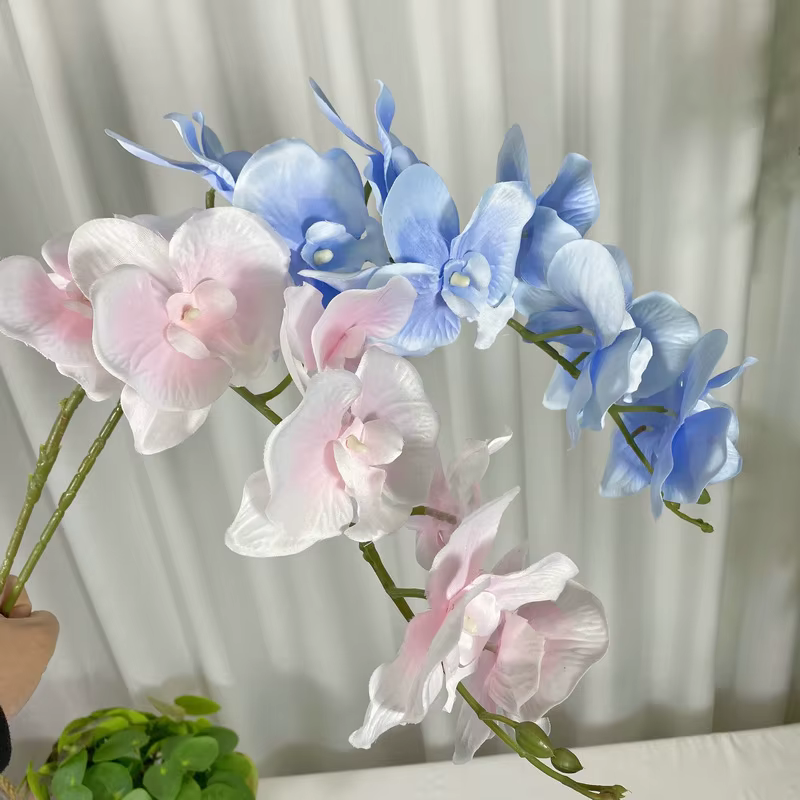 Fleurs d'orchidées mates
