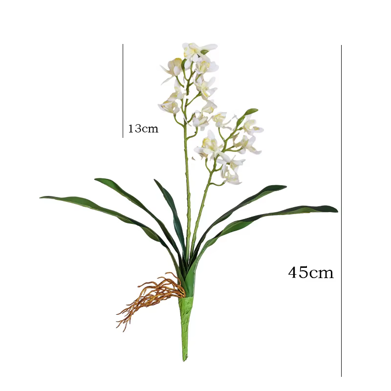 Orchidée papillon au toucher de la main avec feuilles
