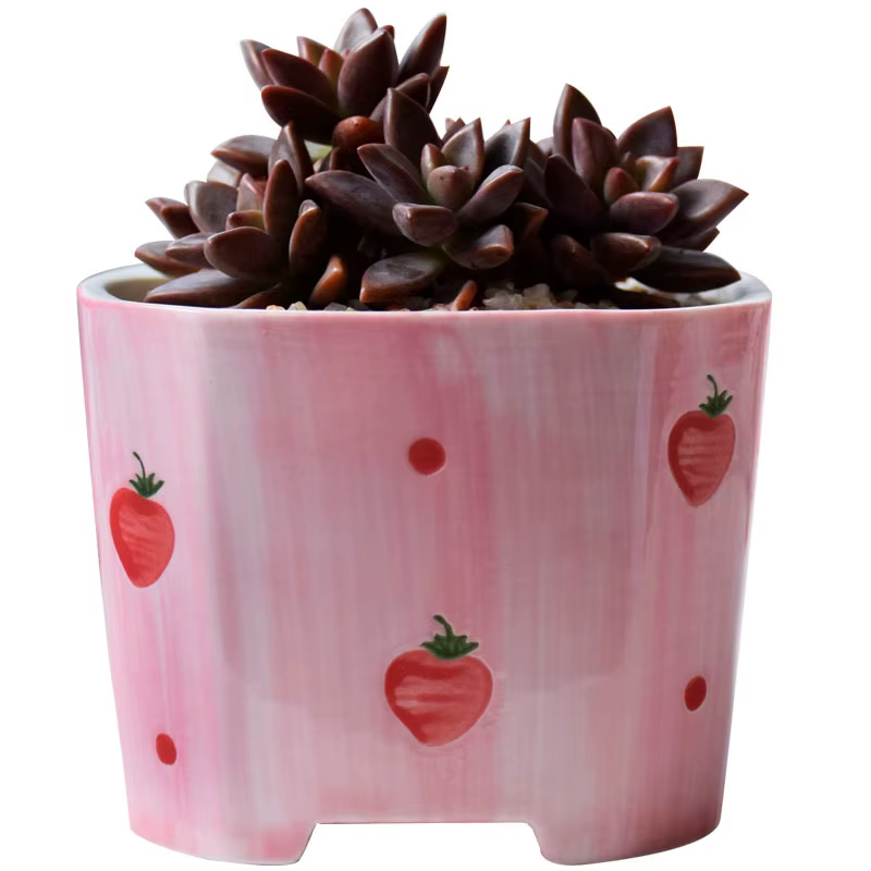 Pot de fleurs succulentes carré en céramique peint à la main pour fille rose