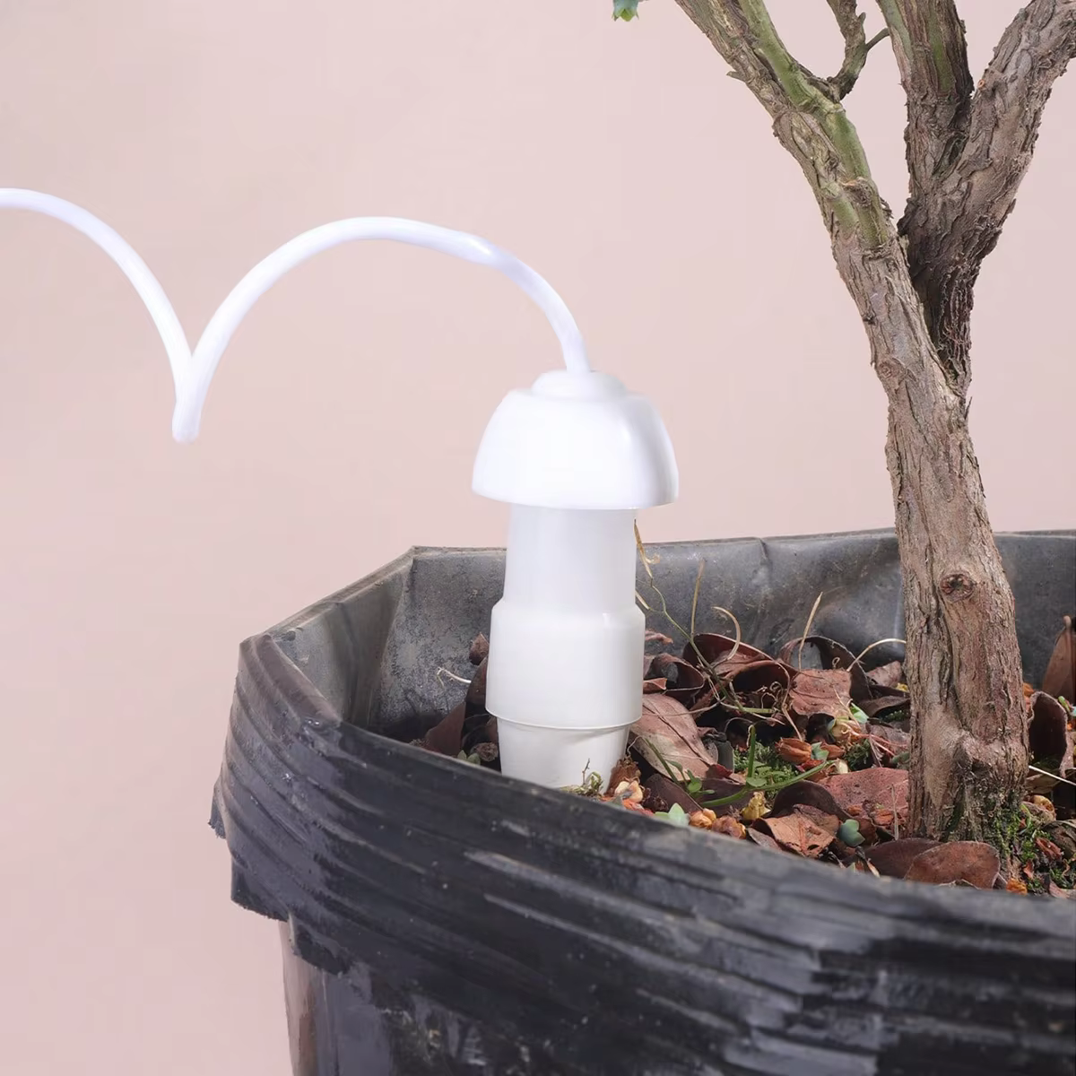 4 Piques d'arrosage automatiques en céramique pour plantes en pot