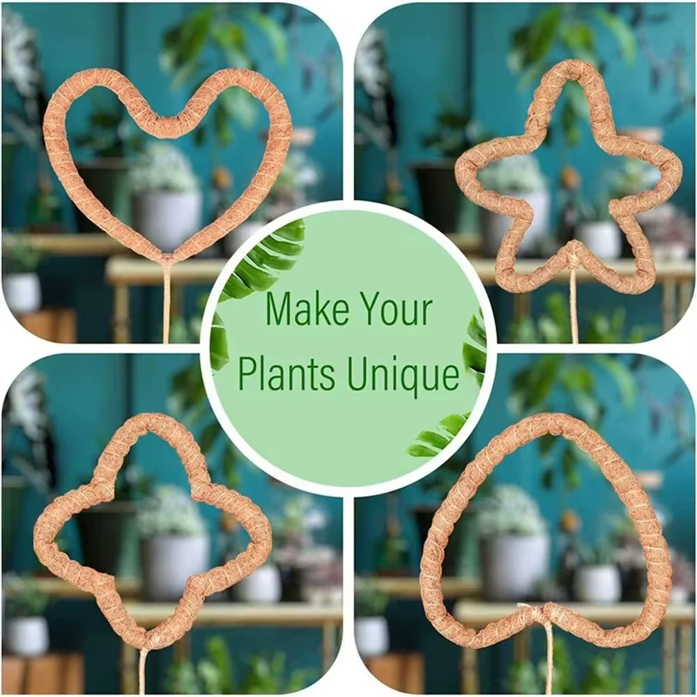 Canne à palmier pliable pour plantes grimpantes