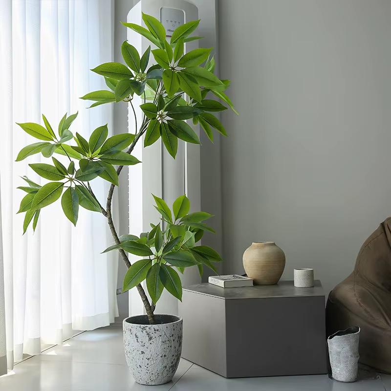 Simulation de plantes vertes en forme de grande feuille