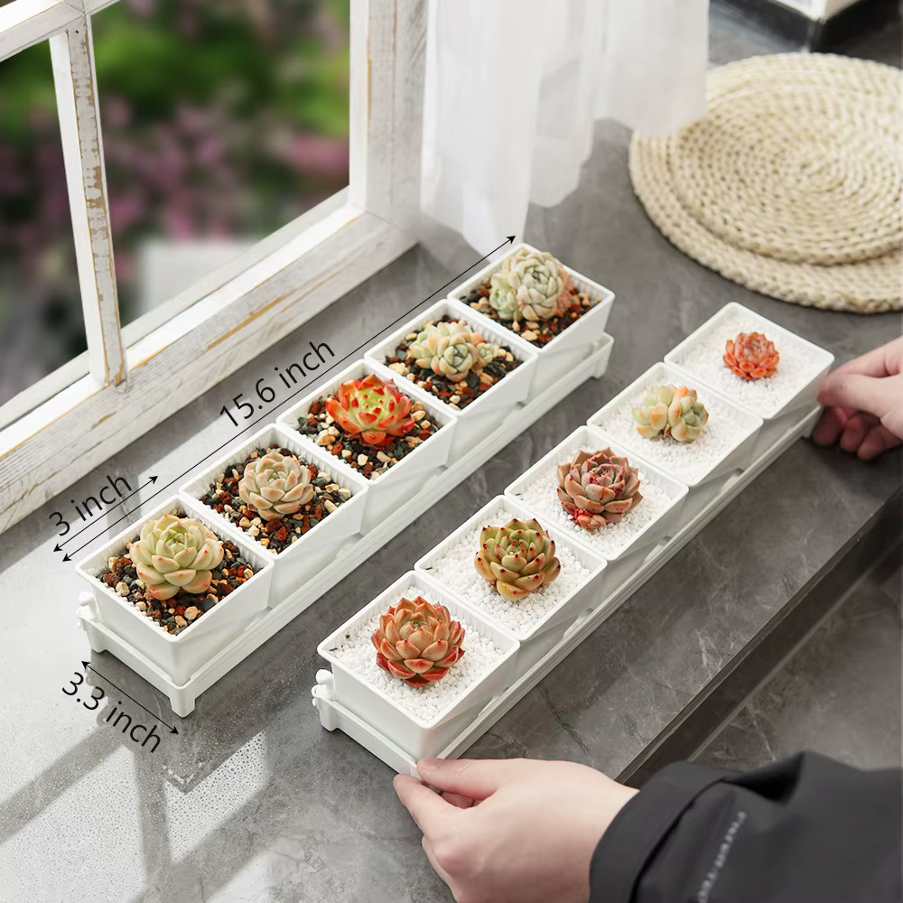 Pots à succulentes respirants avec élagage à l'air