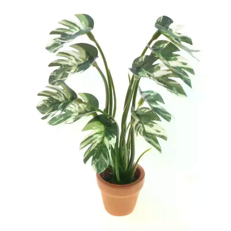 Simulation de maison de poupée Monstera